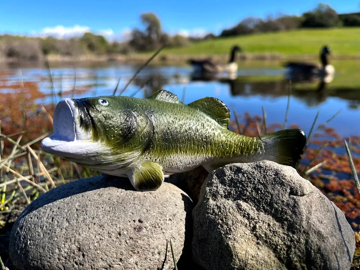 Customized Bass Stress Reliever — view 2