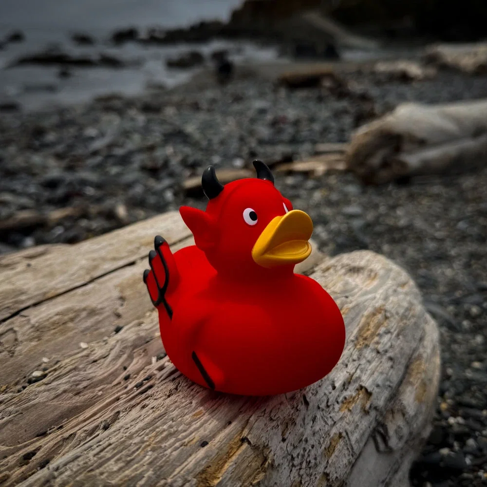 Imprinted Devil Duck — view 4