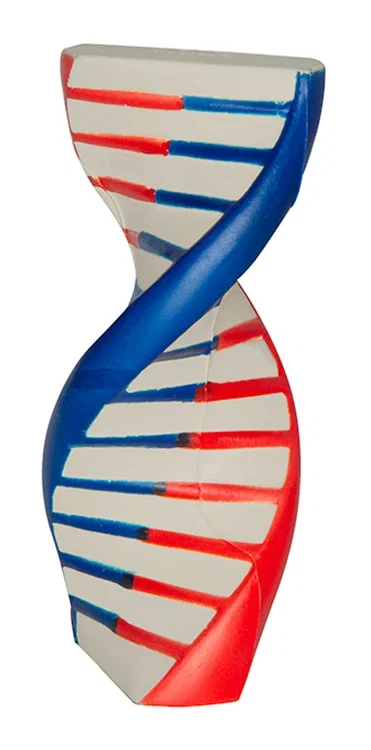 Custom Printed DNA Stress Reliever — view 2