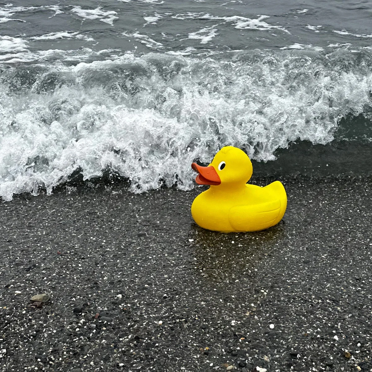 Promotional Jumbo Rubber Duck