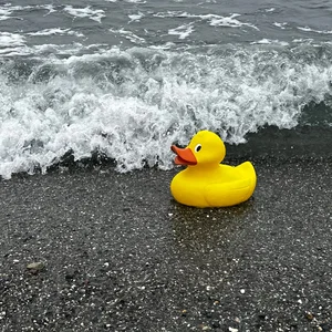 Promotional Jumbo Rubber Duck