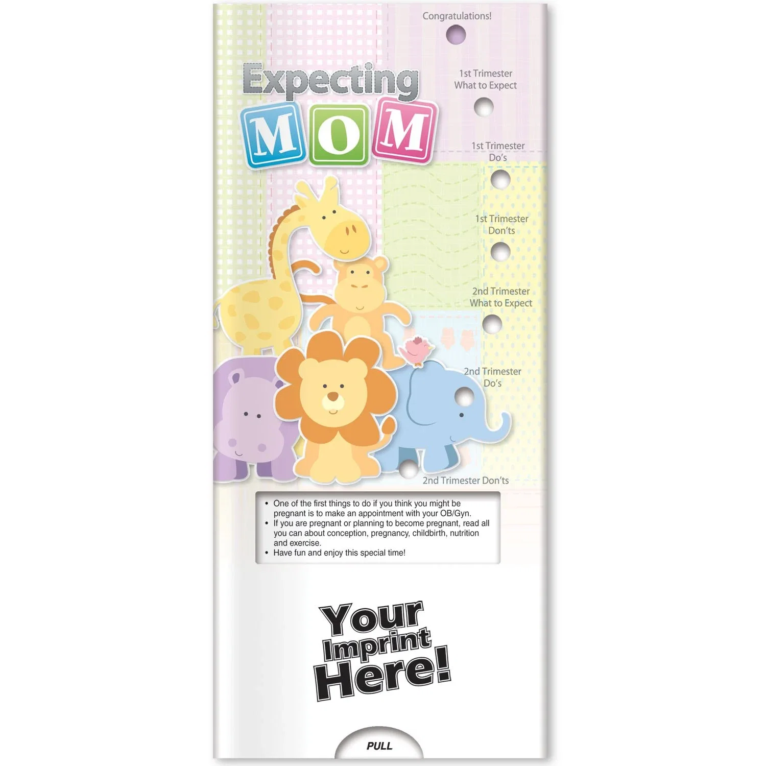 Back of Expecting Mom Pocket Slider with baby-proofing and what-to-expect advice