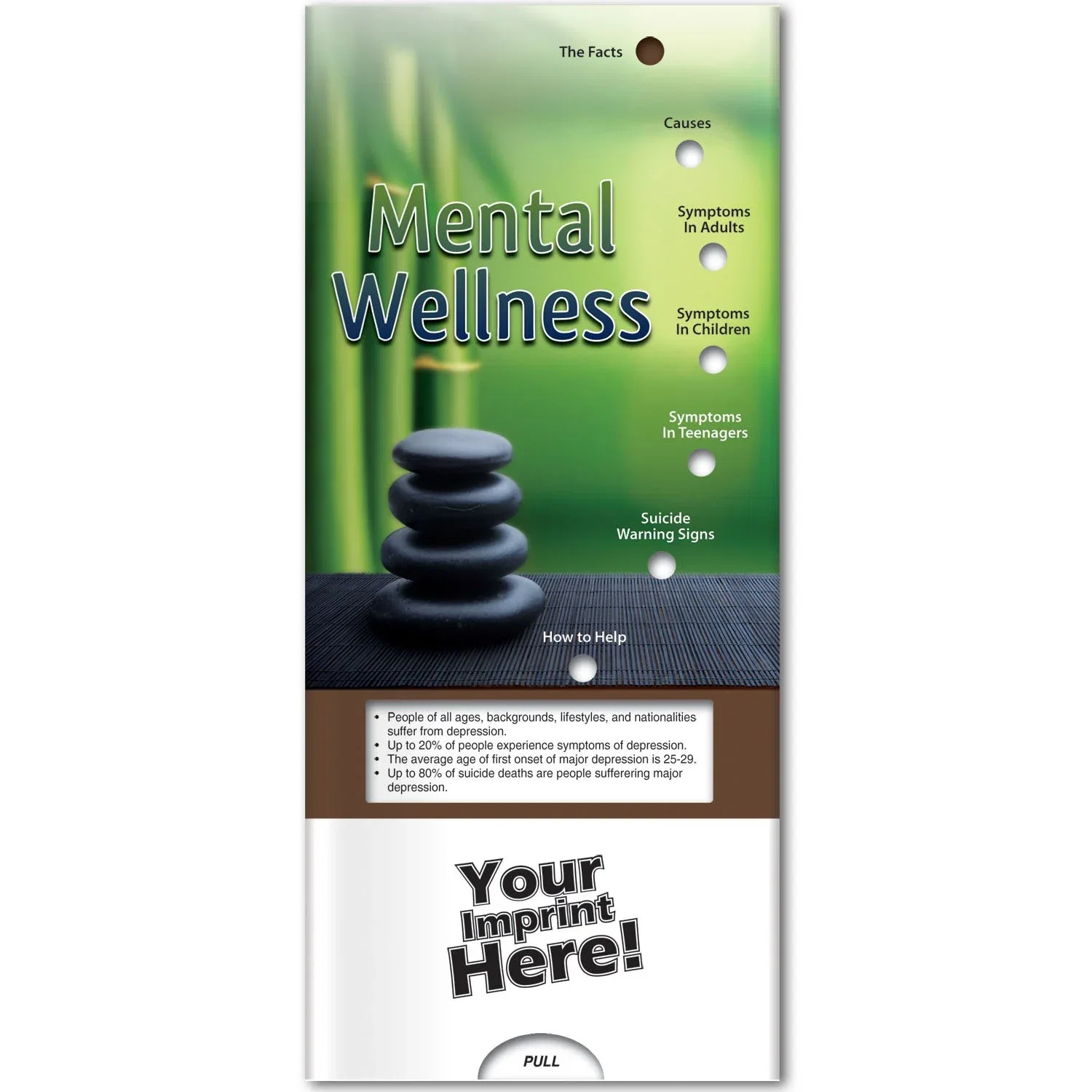 Pocket Slider Mental Wellness educational card back panel with mental health coping topics and bullet points