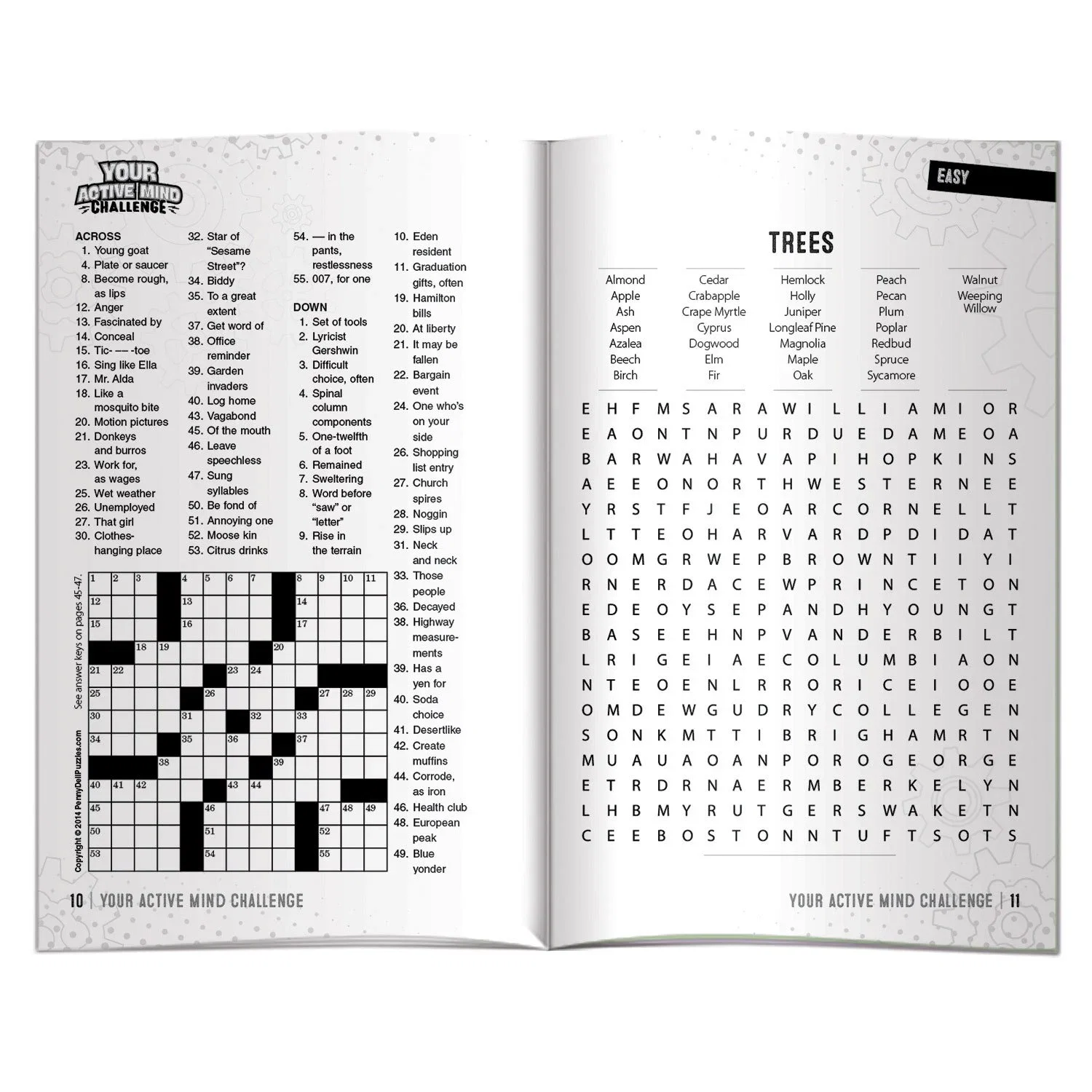 Sharp Minds activity book interior page showing memory and pattern recognition games