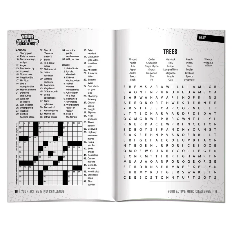 Sharp Minds activity book interior page showing memory and pattern recognition games