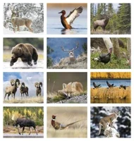 Triumph® Calendars Sportsman Calendar — view 4