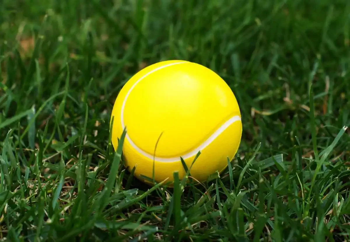 Custom Printed Tennis Ball Stress Reliever — view 4