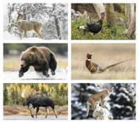 Triumph® Calendars Wildlife Calendar — view 2