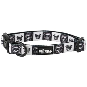 Dog Collar With Neoprene Backing: Large