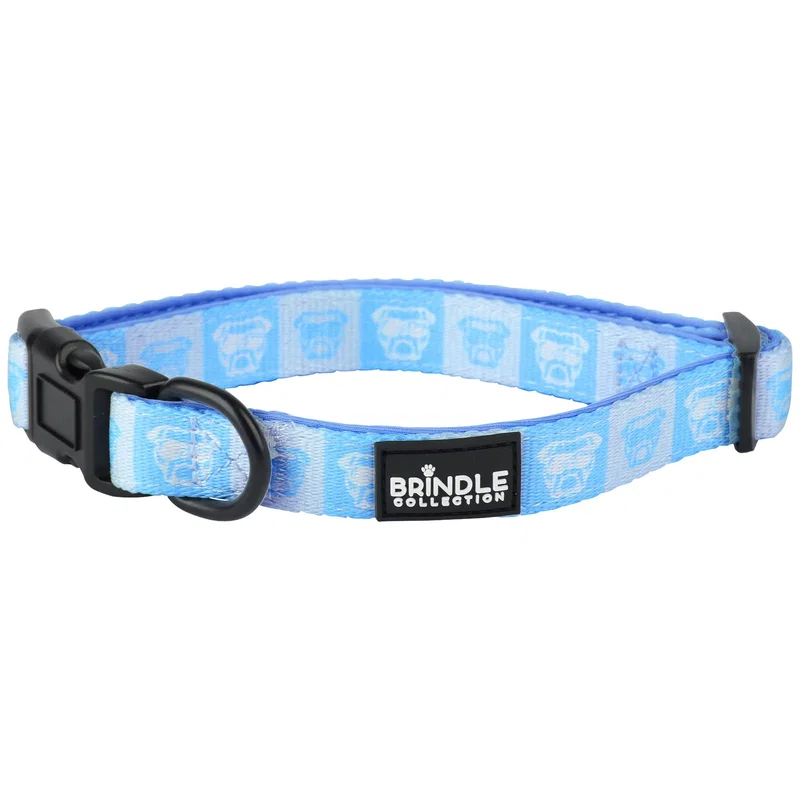 Dog Collar With Neoprene Backing: Large