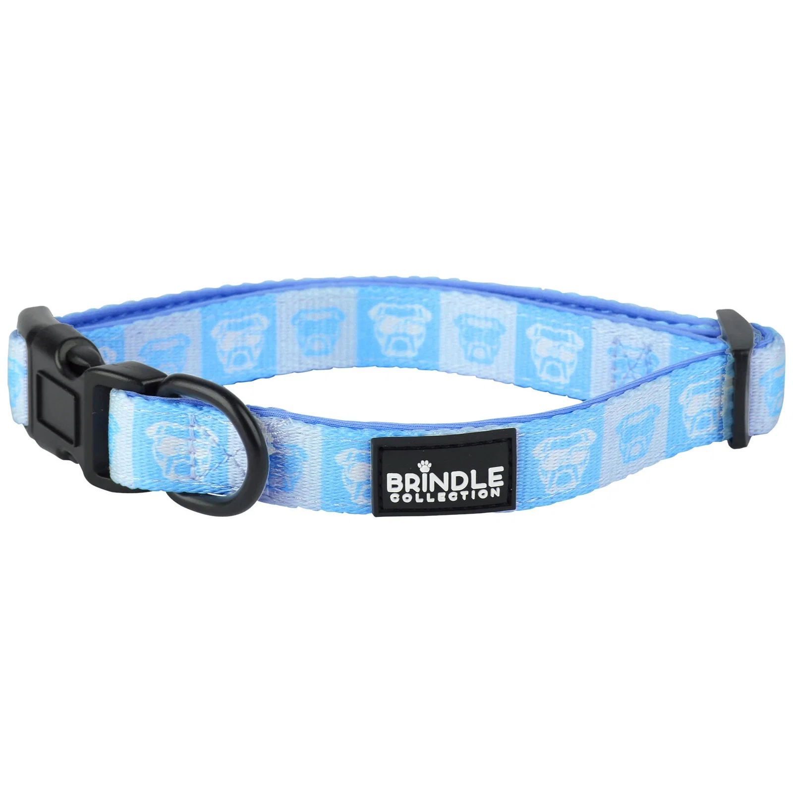 Dog Collar With Neoprene Backing: Large