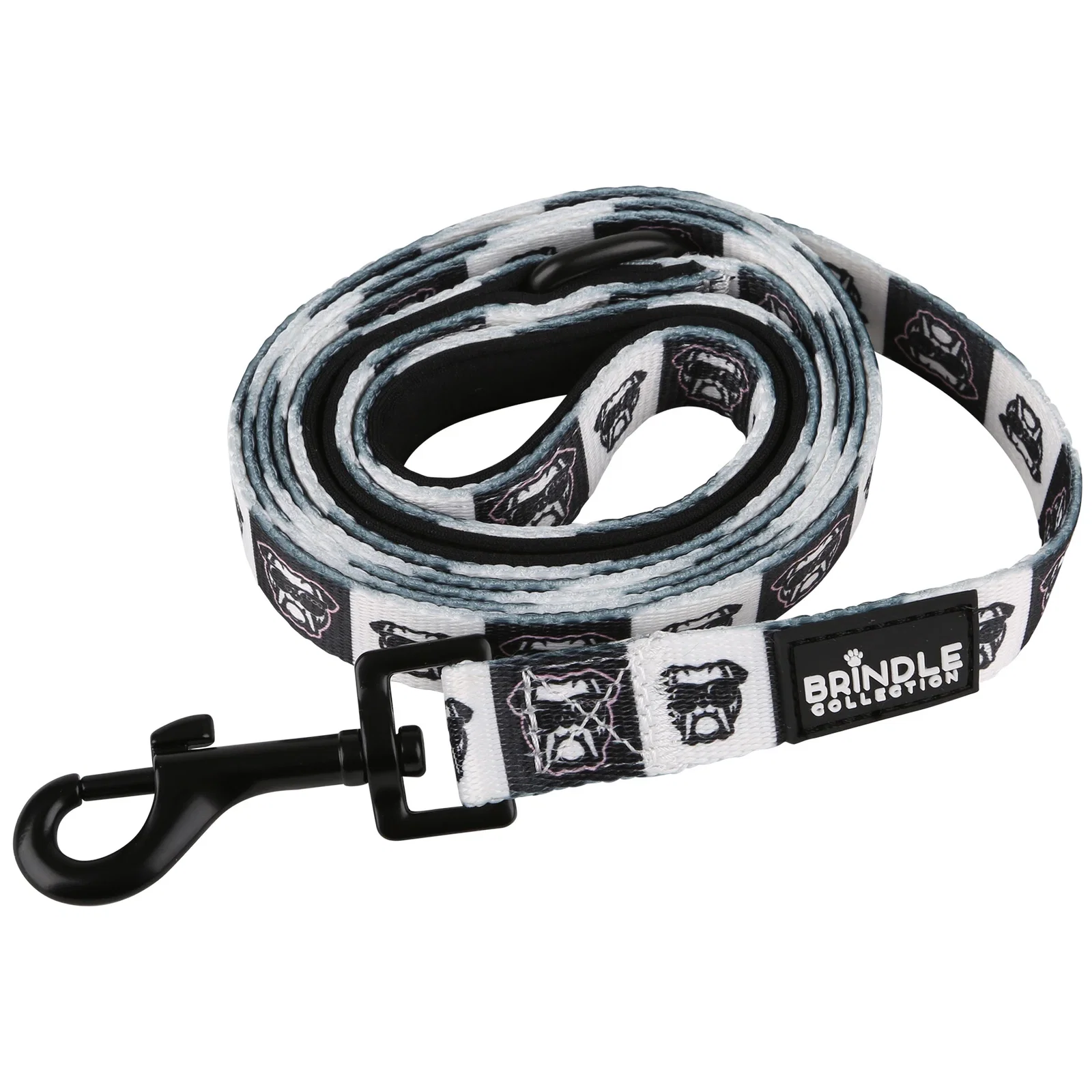Dog Leash With Neoprene Backing: Wide