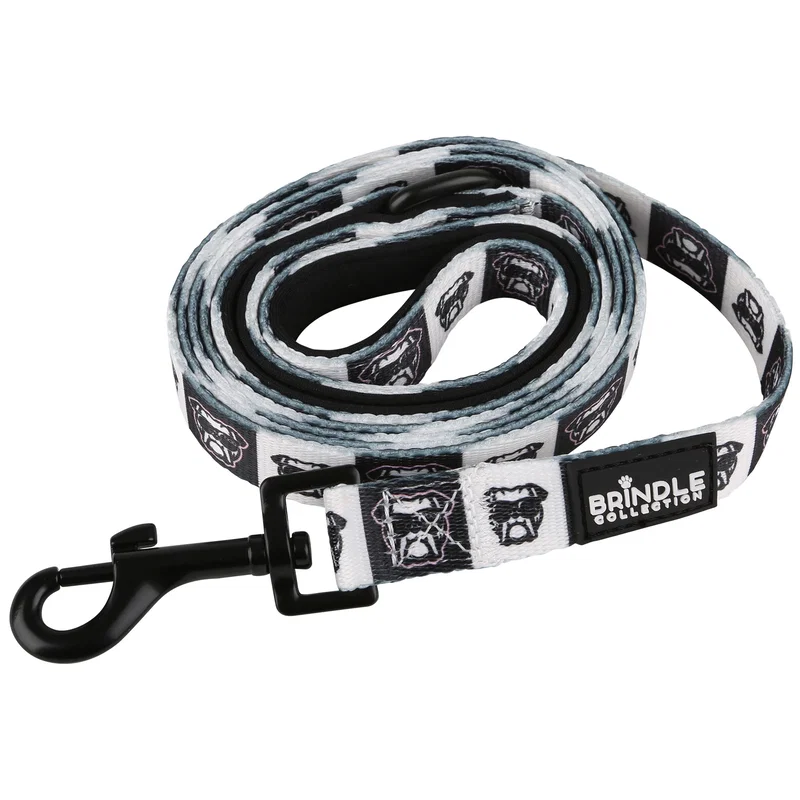 Dog Leash With Neoprene Backing: Wide