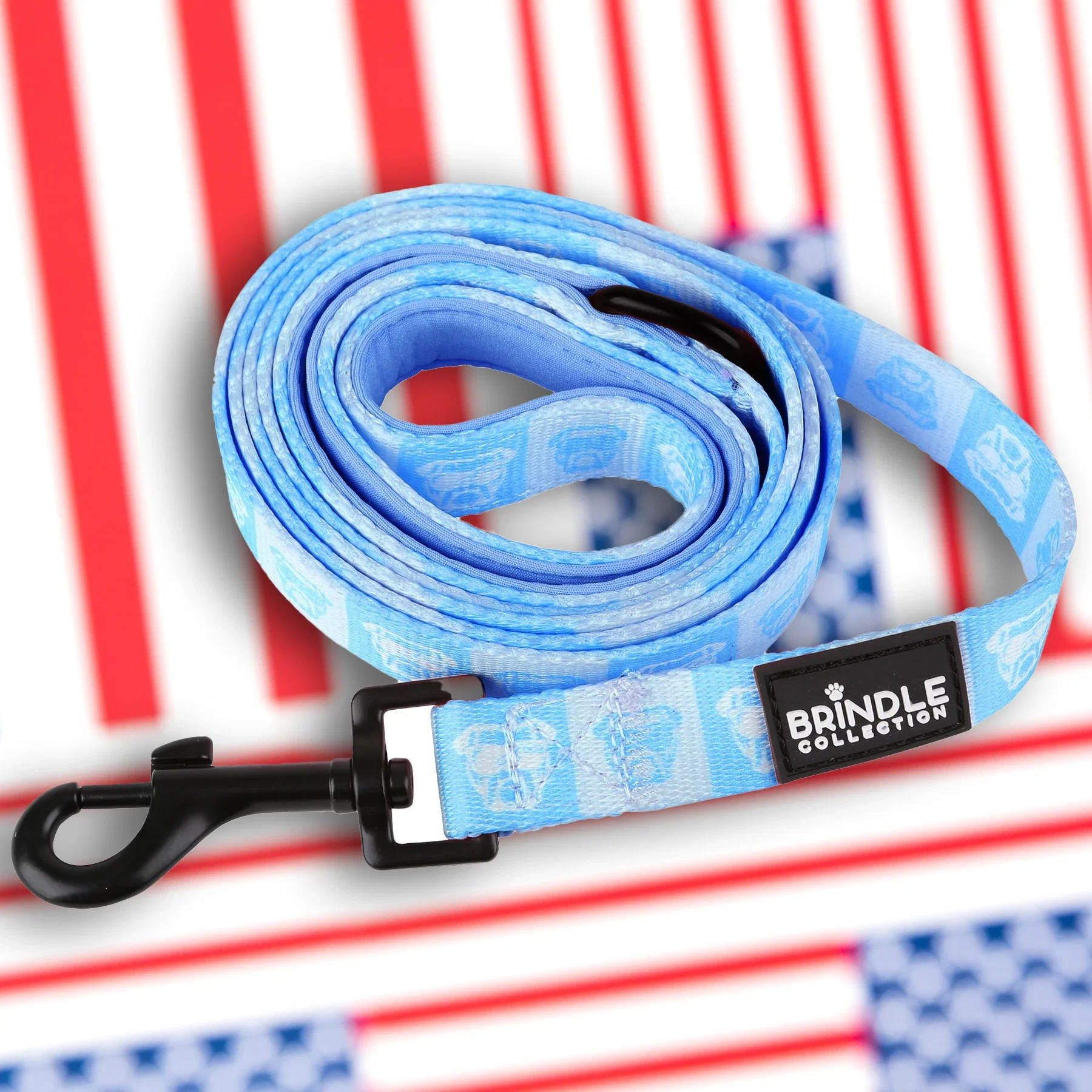 Dog Leash With Neoprene Backing Wide