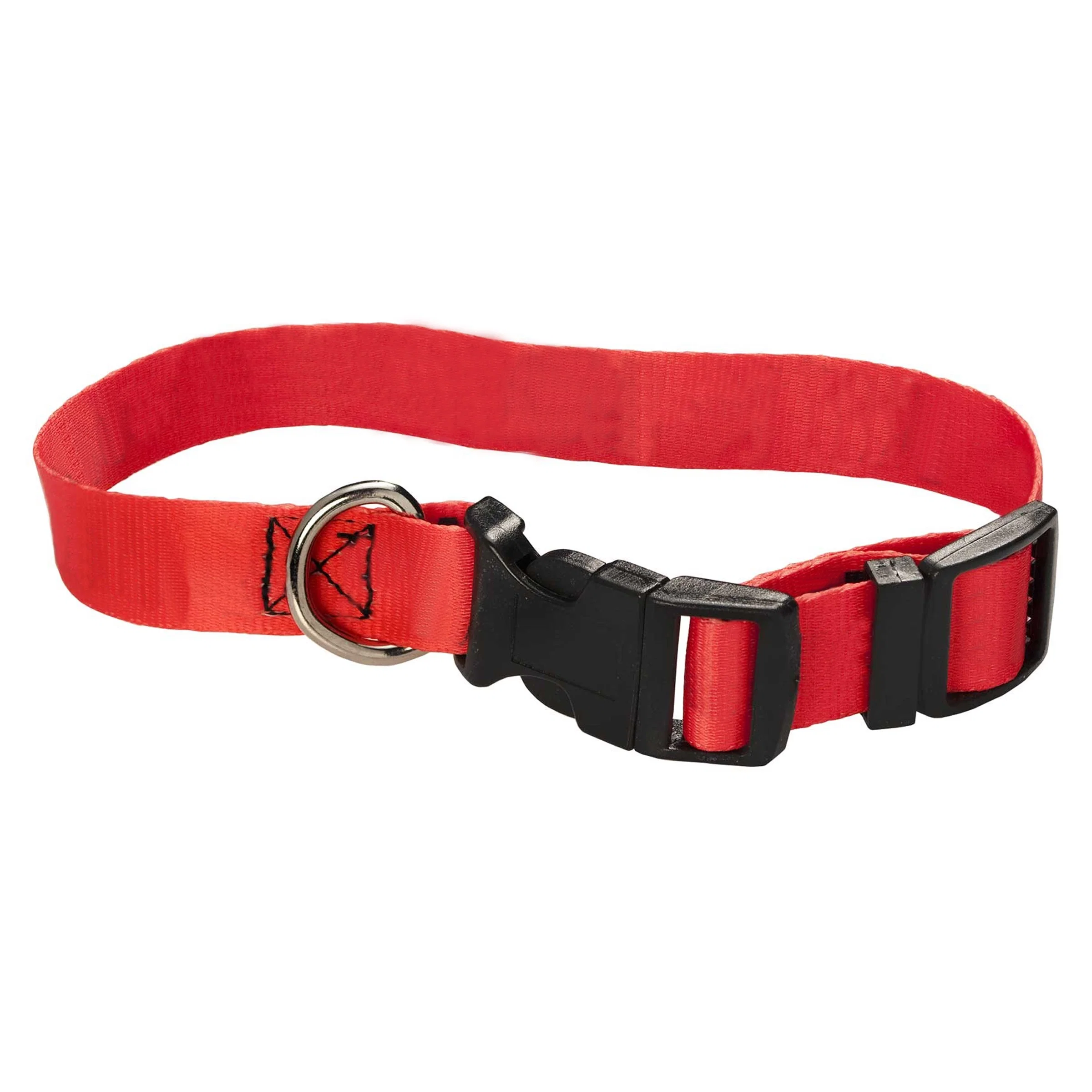 Collar curved into a loop to show its printable width