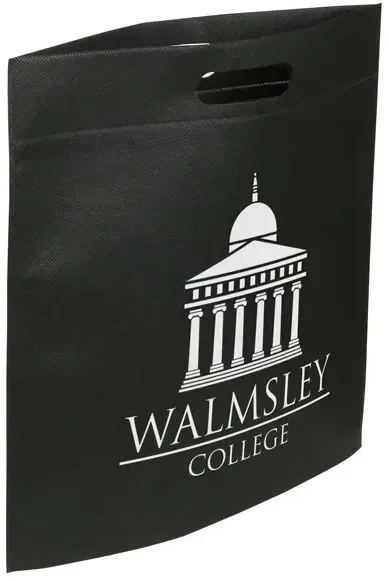Custom Echo non-woven tote in a small size showing its 80GSM polypropylene body and logo