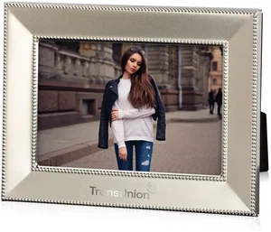 Custom Beveled Elda Champagne Picture Frame