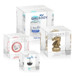 True-Cube Acrylic Embedment Award for Medallions