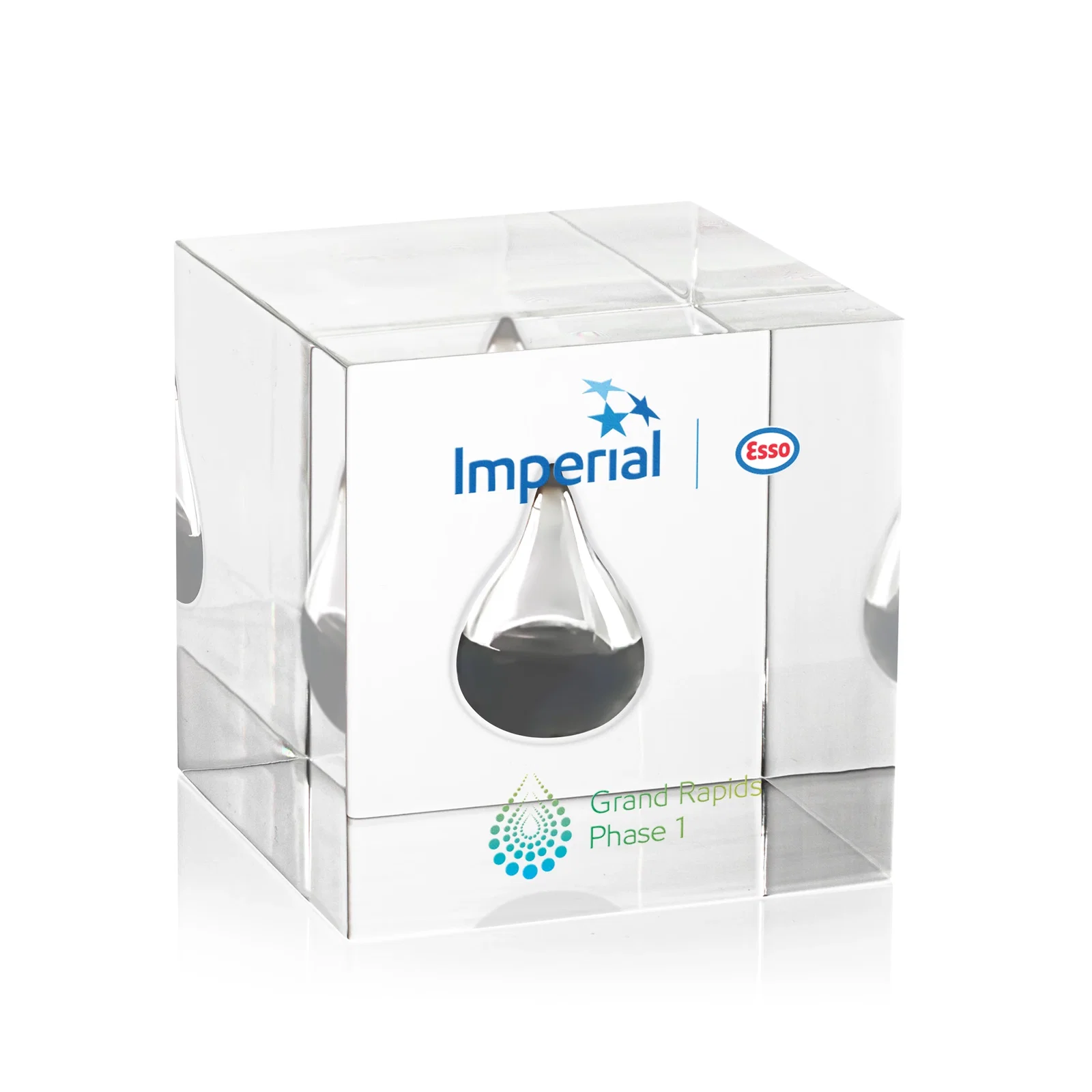 Custom True-Cube Acrylic Embedment Award for Medallions for corporate award ceremonies