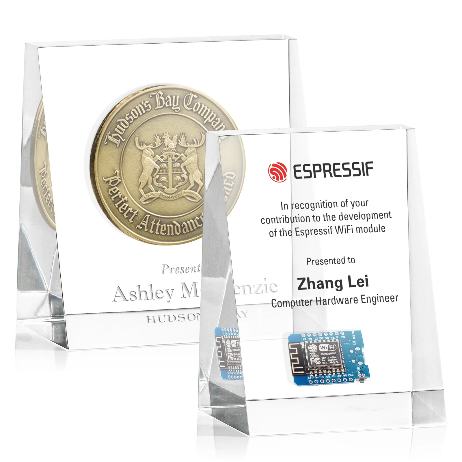 Custom Upright Wedge Acrylic Embedment Award for Medallions for employee recognition