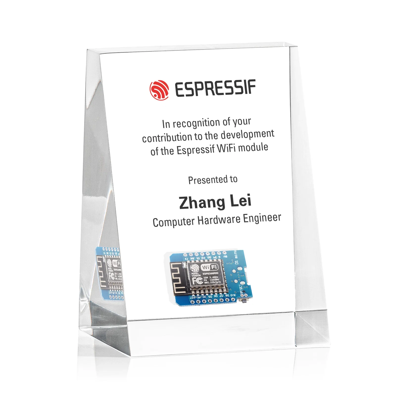 Custom Upright Wedge Acrylic Embedment Award for Medallions for corporate award ceremonies