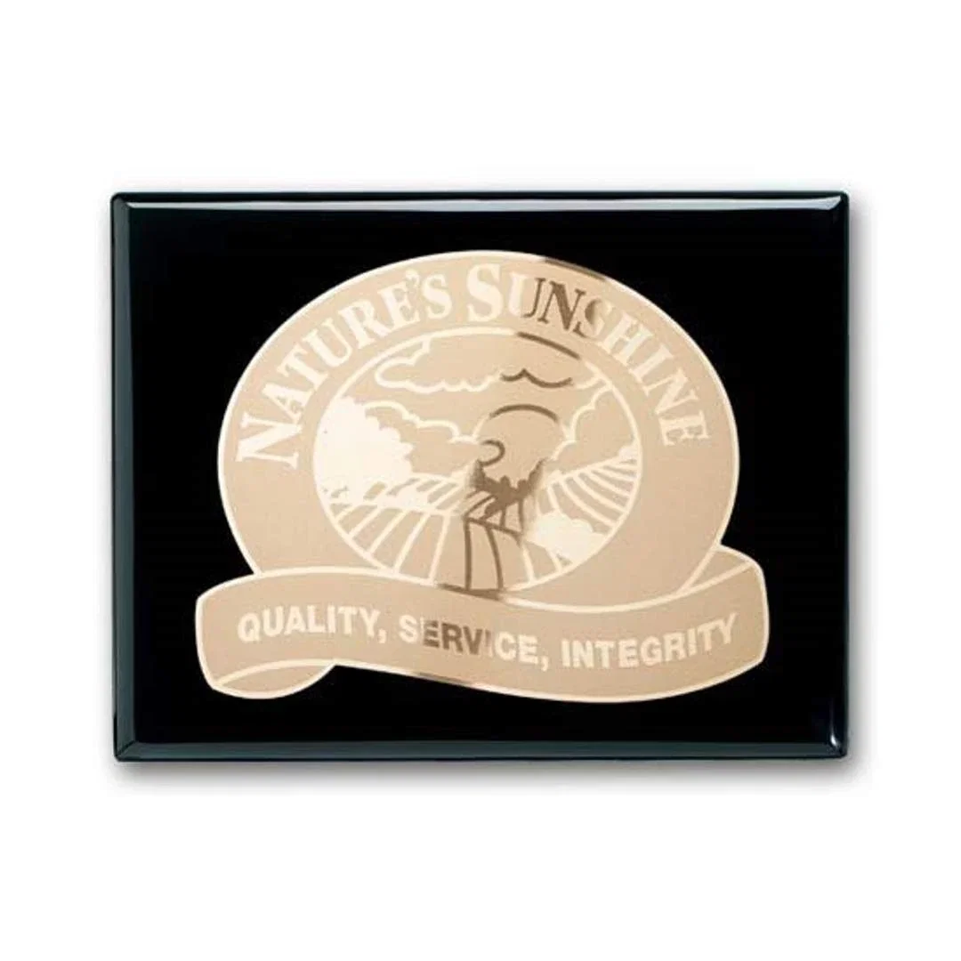 Custom Ebony Piano Finish Wall Plaque with Etched and Frosted Plate, diamond award for sales achievement awards