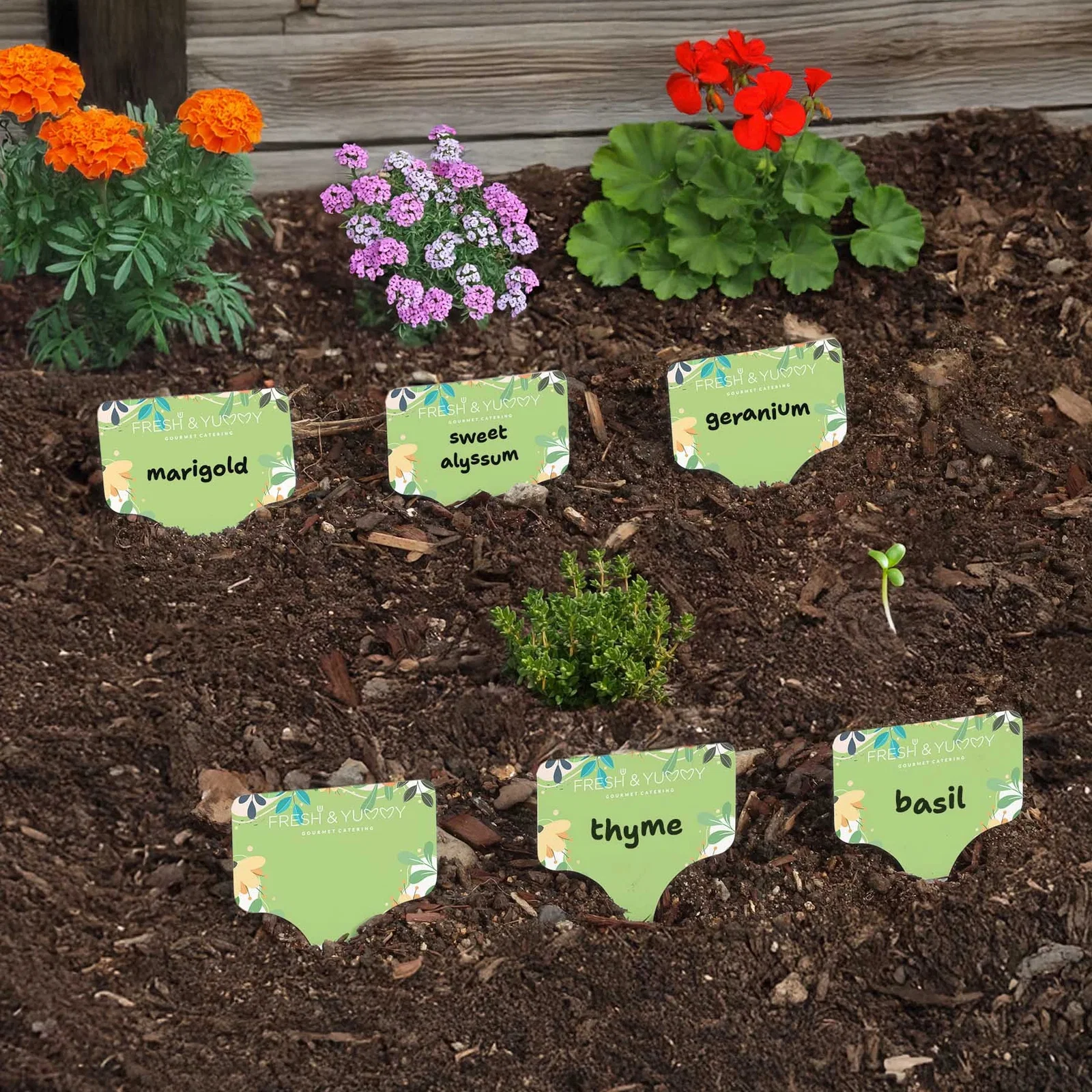 Evergreen 6 Pc. Garden Stake Set — view 3