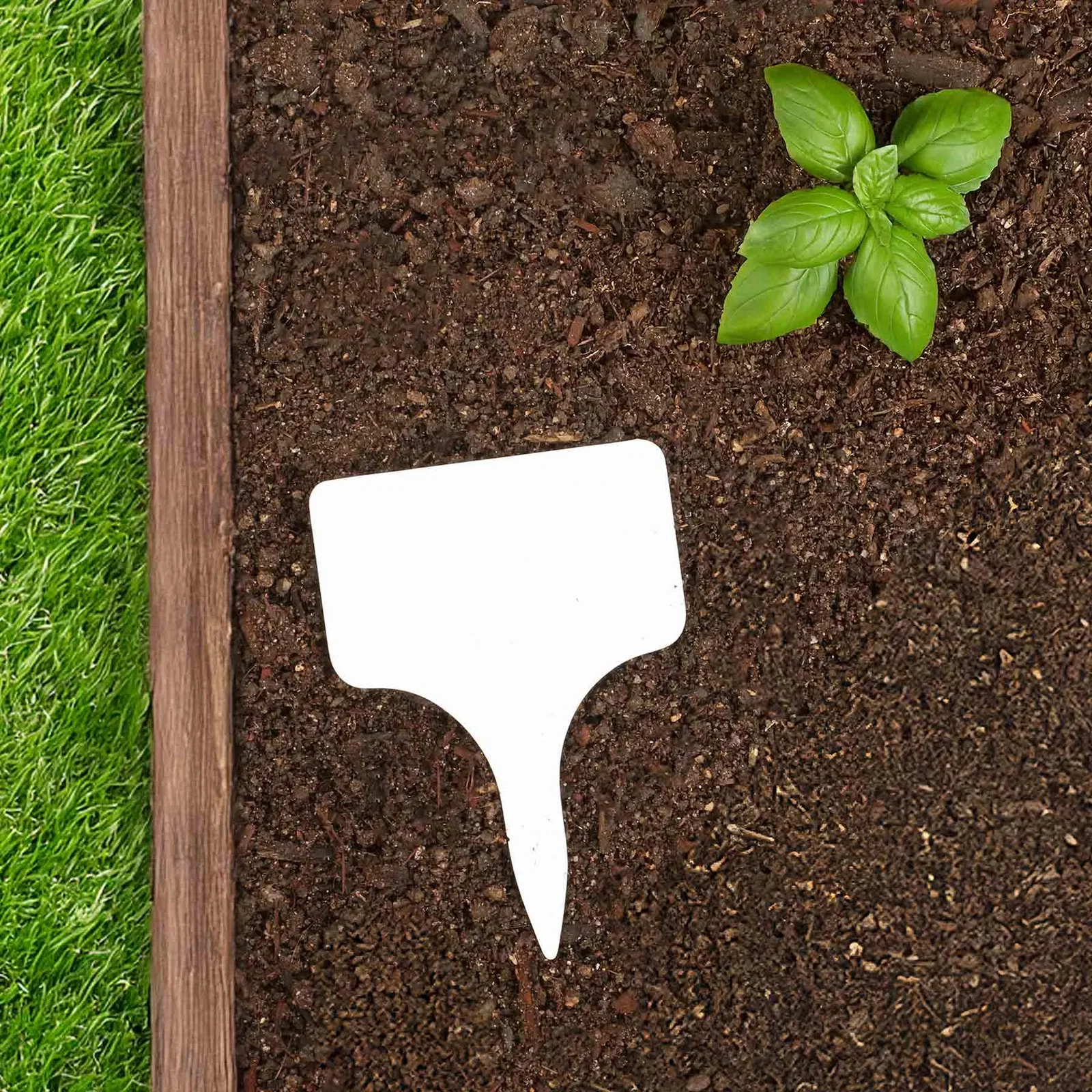 Evergreen Garden Stake (Single) — view 8