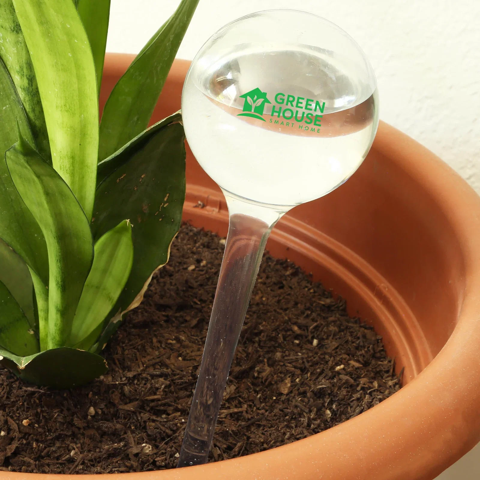 Evergreen Self-Watering Globe — view 2
