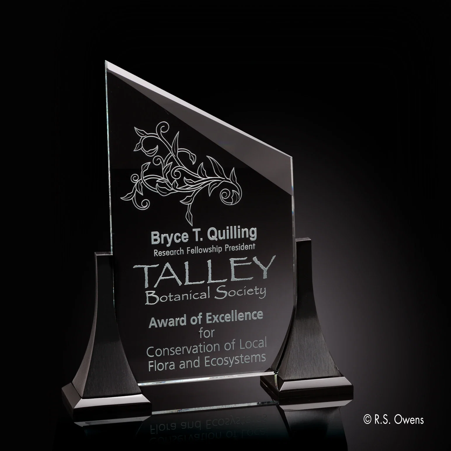 Custom Starfire Crystal Panel Between Curved Black Nickel Posts, awards for corporate award ceremonies