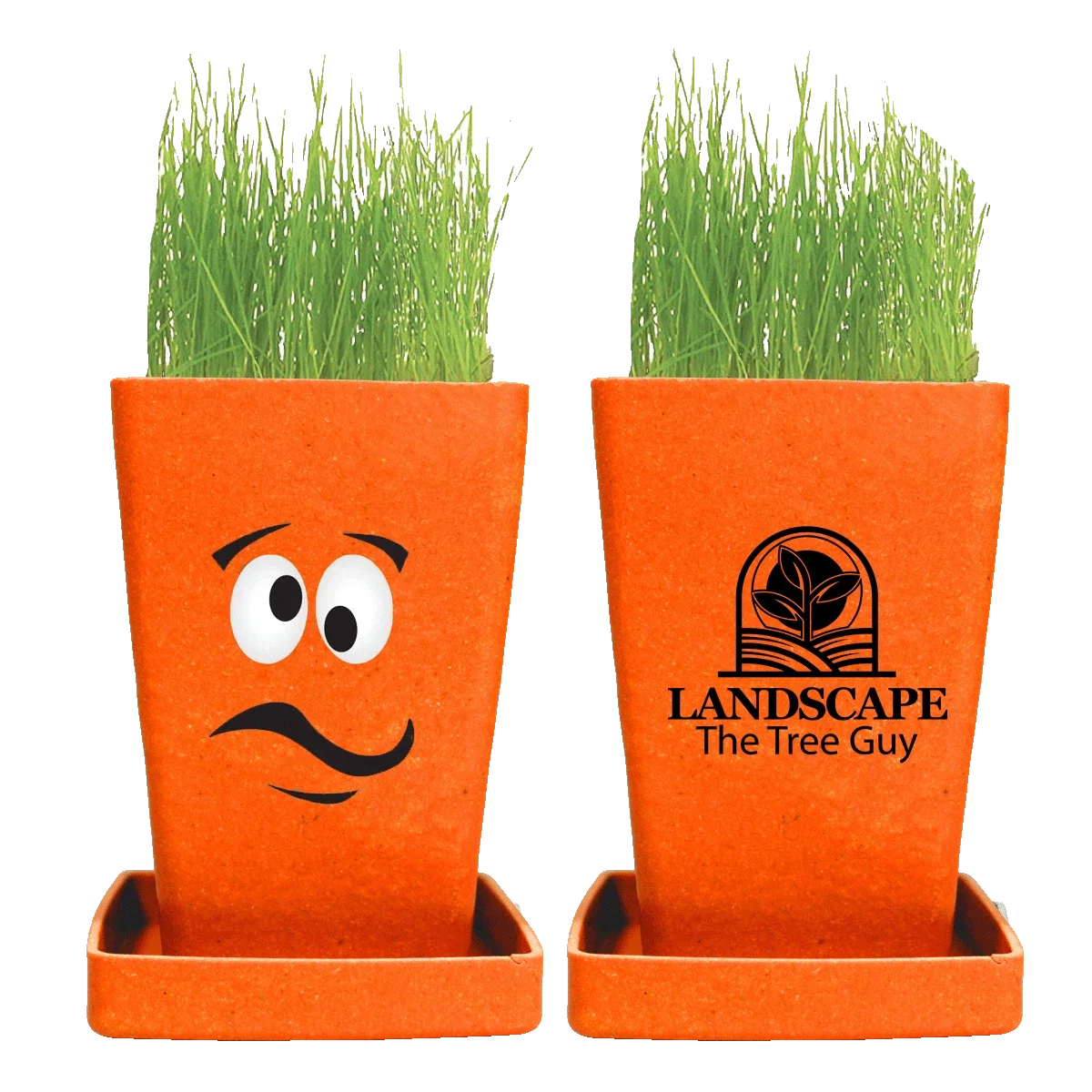 Expression Planter, 1-Pack Planter
