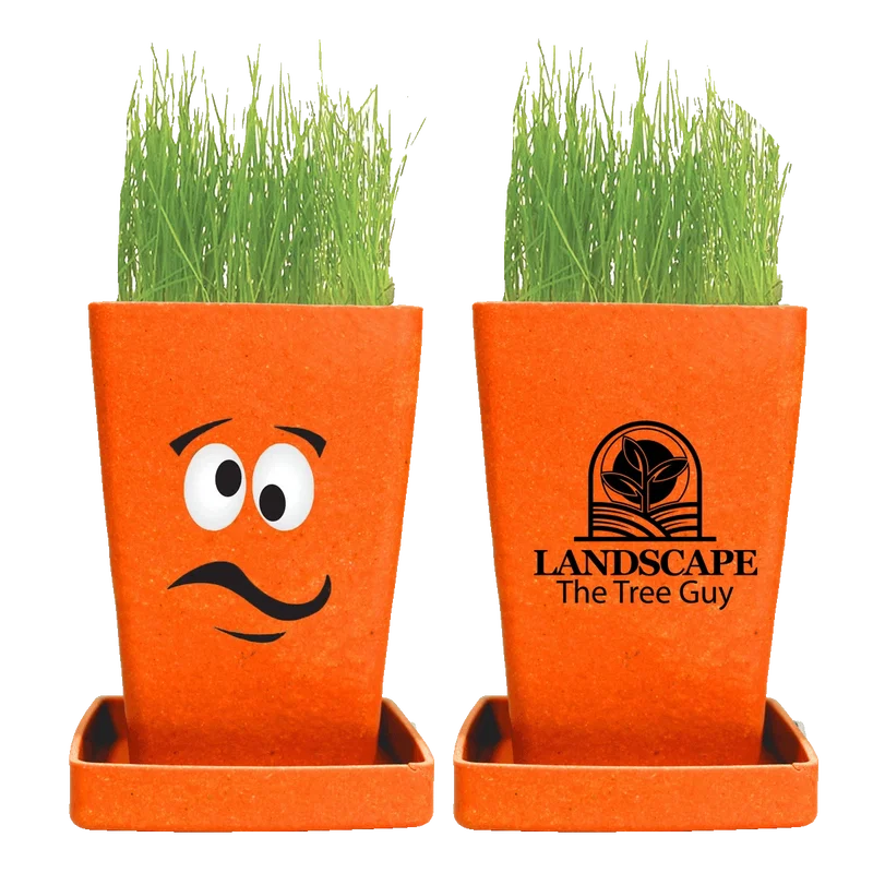 Expression Planter, 1-Pack Planter