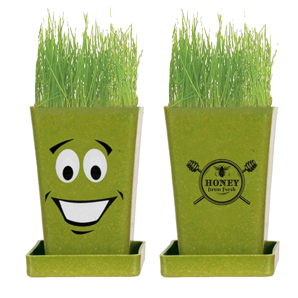 Expression Planter, 1-Pack Planter — view 5