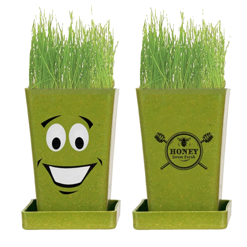 Expression Planter, 1-Pack Planter — view 5