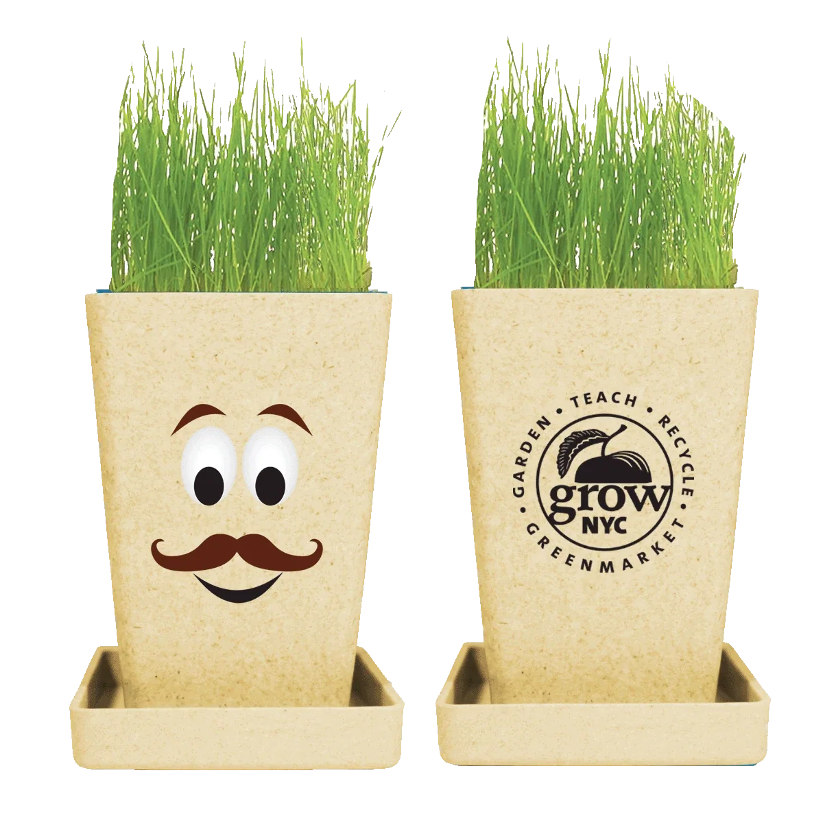 Expression Planter, 1-Pack Planter