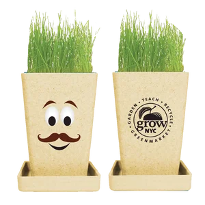 Expression Planter, 1-Pack Planter