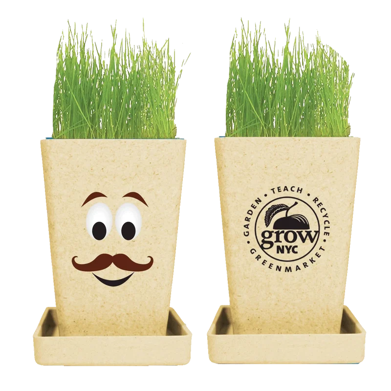 Expression Planter, 1-Pack Planter