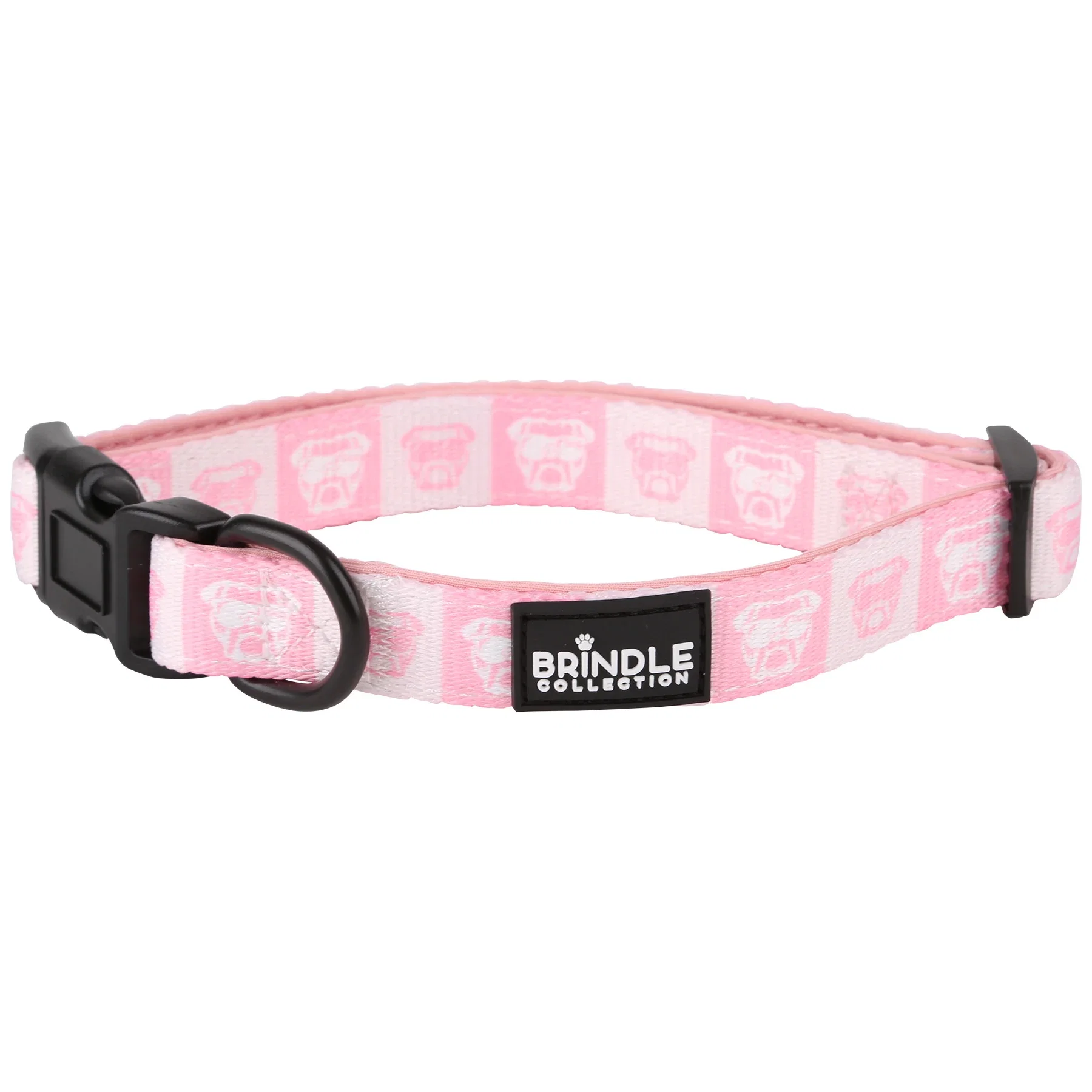 Dog Collar With Neoprene Backing Extra Small