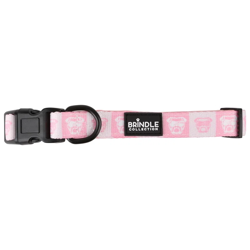 Dog Collar With Neoprene Backing Extra Small — view 3