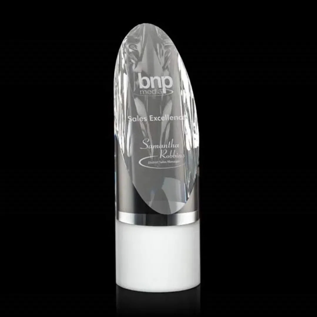 Faccini Award — view 4