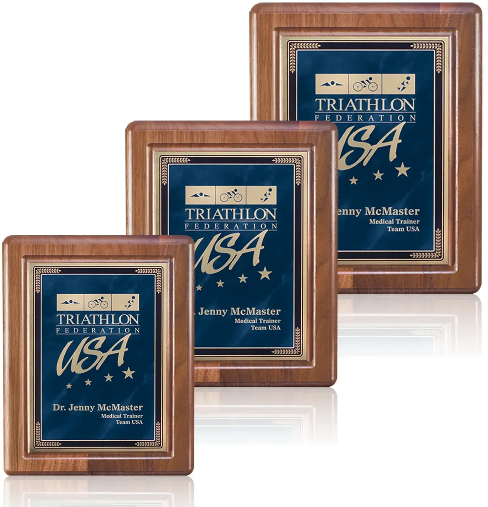 Fallsworth/Cardinal Plaque — view 3