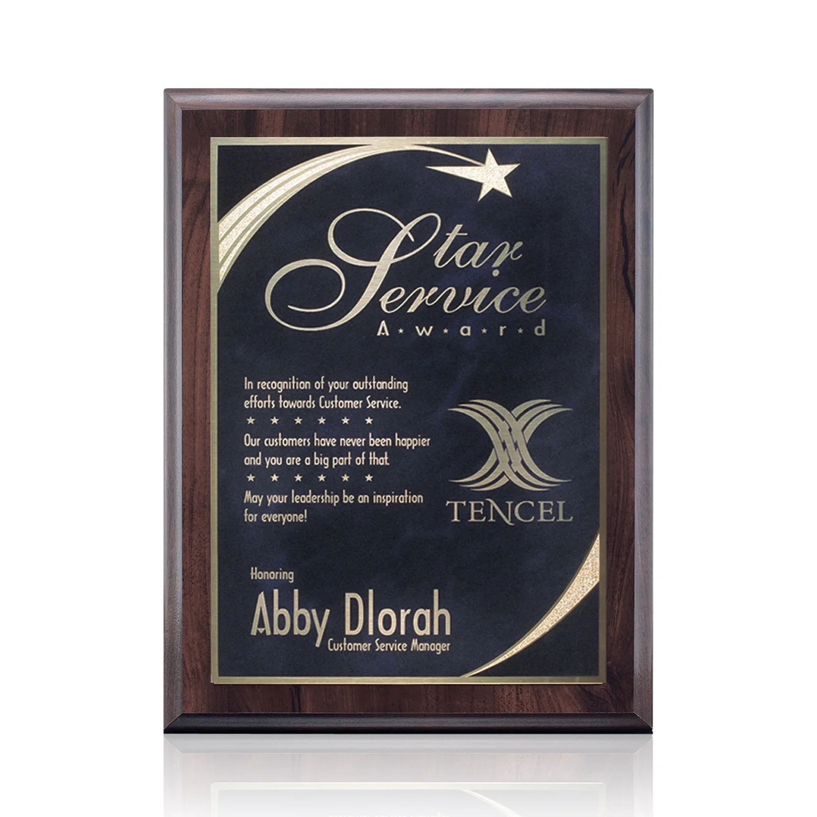 Custom Laminate Wall Plaque with Star-Engraved Brass Plate for team milestone celebrations