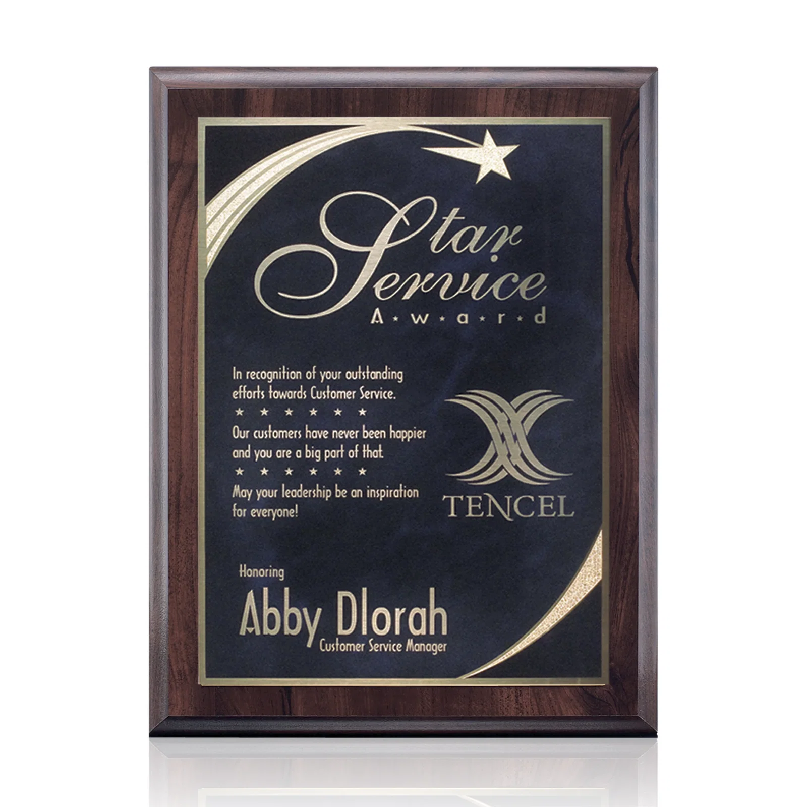Custom Laminate Wall Plaque with Star-Engraved Brass Plate for donor appreciation