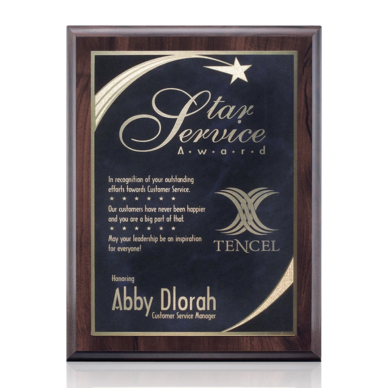 Custom Laminate Wall Plaque with Star-Engraved Brass Plate for graduation ceremonies