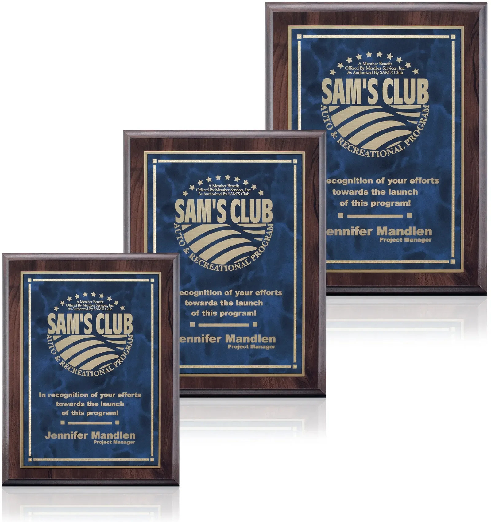 Farnsworth/Contempo Plaque — view 2