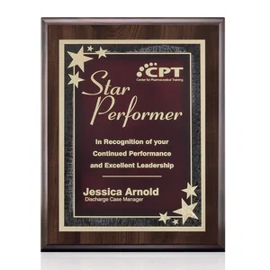 Farnsworth/Starburst Plaque