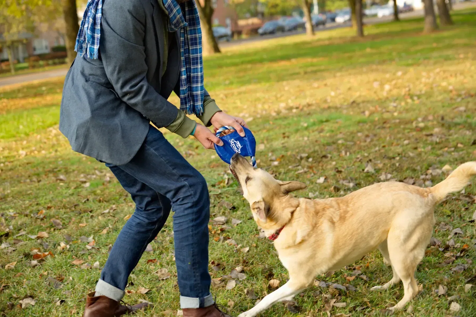 Fetch-It Durable Polyester Dog Toy in use