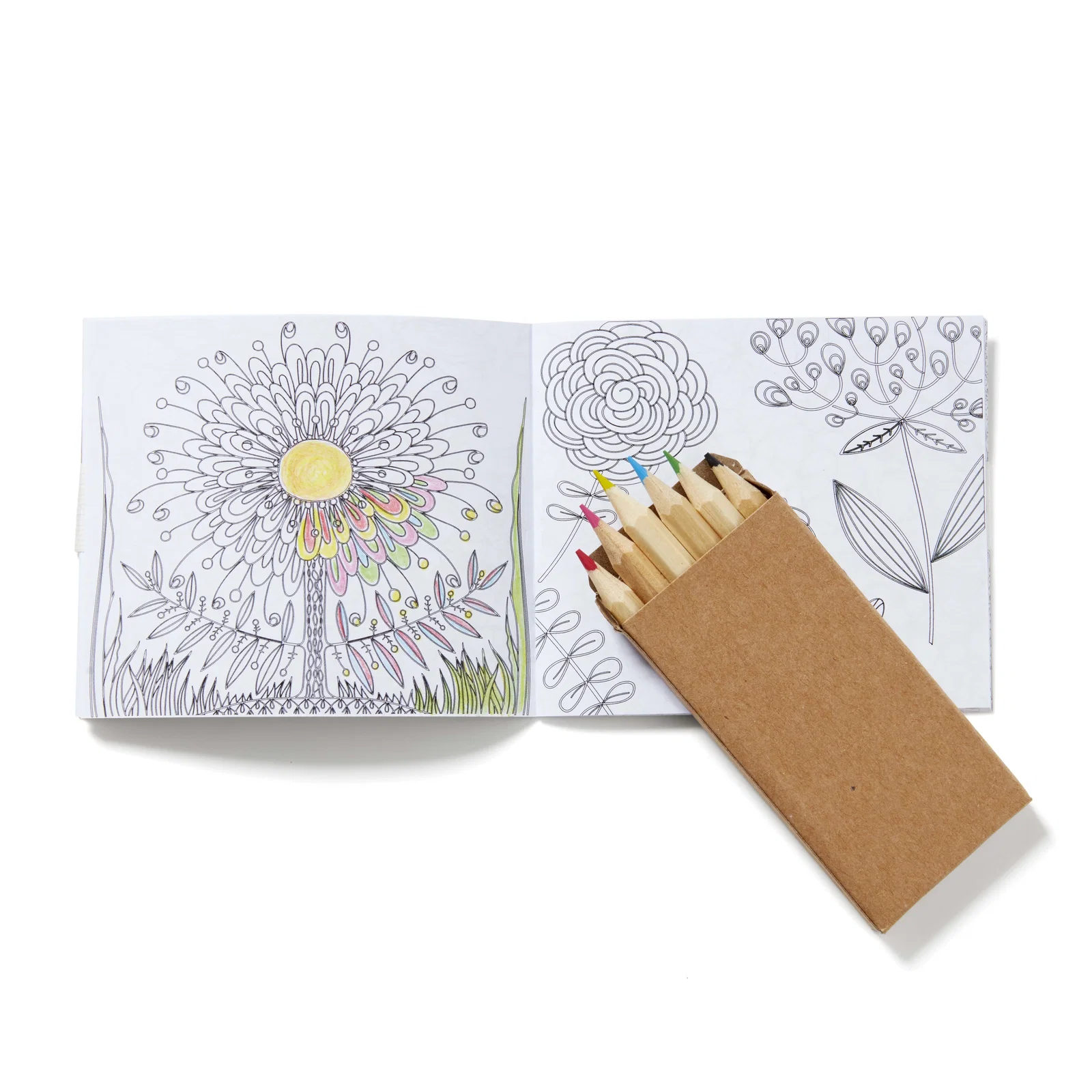  Flowers Adult Coloring Book & 6-Color Pencil Set — view 2