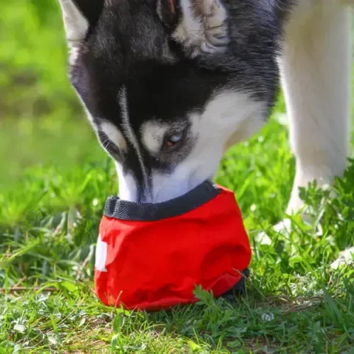 Logo Foldable Nylon Pet Bowl — view 2
