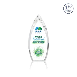 Optical Crystal Teardrop Award With Color-Accent Base